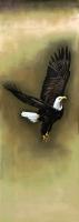 The Eagle